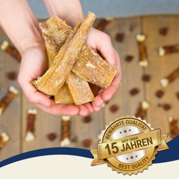 Zwei Schalen mit Hundeleckerlis: eine gelbe Schale mit Fleischstreifen und eine grüne Schale mit ähnlichen Leckerlis, plus zwei weiße Seilspielzeuge auf Jute.