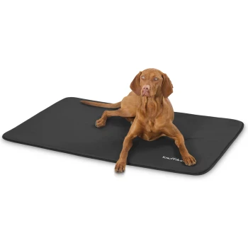 Ein brauner Hund liegt auf einer schwarzen Haustiermatte und zeigt Komfort und Entspannung. Die Matte trägt den Markennamen "Knotty Dog."