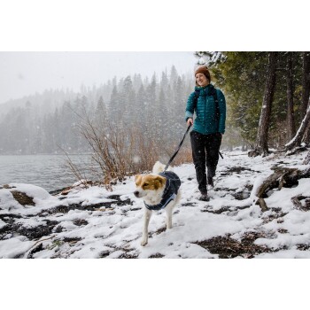 Eine Person führt einen kleinen Hund auf einem verschneiten Weg am See entlang, umgeben von Bäumen, während sanft Schneeflocken fallen.
