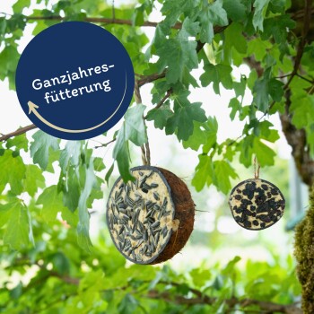 Zwei runde Vogelfutterspender aus Samen, die von einem Baumzweig hängen, mit dem Text 'Ganzjahresfütterung' in einem blauen Kreis darüber.