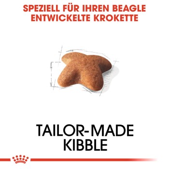 Royal canin beagle 12 kg outlet