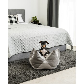 Ein kleiner Hund sitzt bequem in einem grauen Haustierbett auf einem plüschigen Teppich, mit einem ordentlich gemachten Bett und dekorativen Pflanzen im Hintergrund.