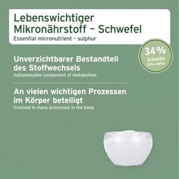Verpackung des essentiellen Mikronährstoffs Schwefel, die eine Schüssel mit weißem Pulver zeigt, mit Text, der seine Bedeutung im Stoffwechsel und Körperprozesse hervorhebt.