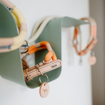 Eine Sammlung von bunten Hundeleinen, die an einem grünen Wandhalter hängen, mit einem Lederschild mit einer Hundesilhouette.