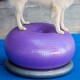 Haustier-Fitnessball