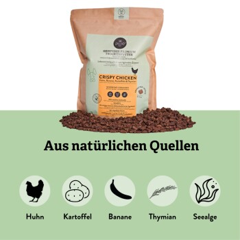 Premium Trockenfutter für Hunde in einer Tüte mit der Aufschrift "Crispy Chicken" mit Zutaten: Hähnchen, Banane, Kartoffel, Thymian und Algen, auf grünem Hintergrund.