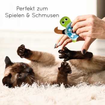 Eine verspielte Siamkatze auf einem flauschigen Teppich greift nach einem bunten Schildkröten-Spielzeug, das von einer Person gehalten wird. Text: "Perfekt zum Spielen & Schmusen."