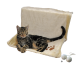 Eine getigerte Katze liegt auf einem weichen, cremefarbenen Haustierbett mit Pfotenabdruckdesigns, begleitet von zwei kleinen Seilbällen.