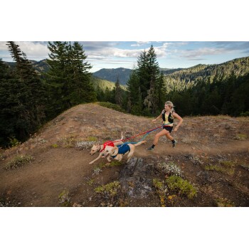 Eine Frau läuft auf einem Schotterweg in einem bewaldeten Gebiet und hält Leinen, die an zwei energiegeladenen Hunden mit Geschirren befestigt sind, einem roten und einem blauen.