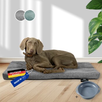 ® Hundebett mit Anti-Rutsch-Boden, strapazierfähiges Kissen für Hunde und Katzen inkl. Gratis-Wassernapf grau L