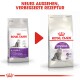 Zwei Royal Canin Katzenfutterbeutel mit den Aufschriften "Sensible" und "Regular Sensible", mit einem roten Pfeil und "NEUES AUSSEHEN, VERBESSERTE REZEPTUR" darüber.