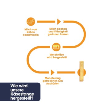 Infografik zur Produktion von Käse-Sticks für Haustiere: Milchsammlung, Kochen, Herstellung von Weichkäse und Trocknung. Deutscher Text: "Wie wird unsere Käse hergestellt?"