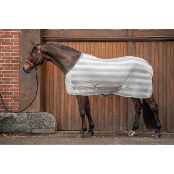 Ein braunes Pferd, das eine hellgraue gestreifte Decke trägt, steht neben einer Holztür, mit einem schwarzen Führstrick, der an seinem Halfter befestigt ist.