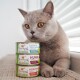 Eine graue Katze mit bernsteinfarbenen Augen sitzt neben drei Dosen "I love my cat" Futter: Lachs & Truthahn, Huhn und Insekten.