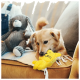 Ein kleiner goldener Hund spielt mit einem gelben katzenförmigen Spielzeug auf einer Couch, neben einem grauen Plüschhasen.