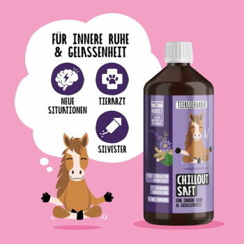 Flasche "Chillout Saft" für Haustiere, mit beruhigender Kräutermischung, hoher Bioverfügbarkeit und Unterstützung für Nerven in stressigen Situationen.