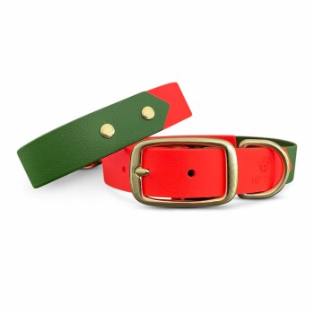 Ein rotes und grünes Hundehalsband mit einer goldenen Schnalle, ausgestattet mit einer strukturierten Oberfläche und einem Druckverschluss, auf einem weißen Hintergrund präsentiert.