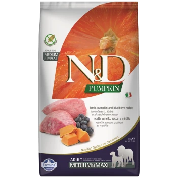 Hundefutterbeutel mit "N&D PUMPKIN" mit Lamm-, Kürbis- und Heidelbeerrezept, das Zutaten und Nährwertvorteile hervorhebt.
