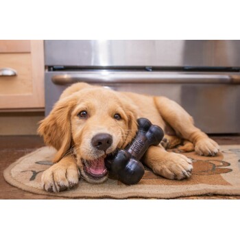 Golden-Retriever-Welpe kaut auf einem schwarzen Knochen-Spielzeug mit erhabener Beschriftung auf einem Küchenteppich.