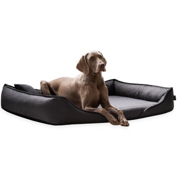 CLEMENS Hundebett Baumwolle Orthopädisch