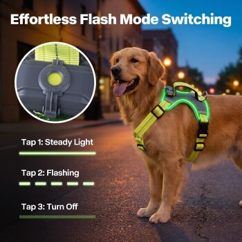 Hund in neonfarbigem LED-Geschirr in der Dämmerung; eingelassener Knopf. Text: 'Effortless Flash Mode Switching' – Tippen1 Dauerlicht, Tippen2 Blinken, Tippen3 Aus