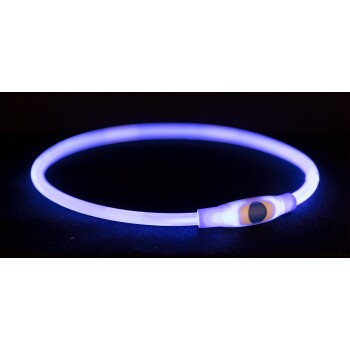 Ein leuchtendes blaues LED-Hundehalsband auf einem dunklen Hintergrund, mit einem Netzschalter an der Seite.