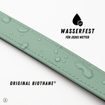 Eine Nahaufnahme einer mintgrünen Haustierleine mit Wassertropfen auf der Oberfläche, die ihr wasserdichtes Material und die Nähdetails zeigt.