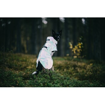 Ein schwarzer Hund in einem glänzenden, reflektierenden Regenmantel steht auf einem Baumstumpf in einem bewaldeten Gebiet, umgeben von Grün.
