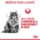 Un chat gris duveteux sur un fond blanc avec du texte : "BÉNÉFICE POUR LA SANTÉ" et "AIDE À RÉDUIRE LA PLAQUE DENTAIRE."
