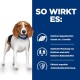 Ein Beagle auf weißem Hintergrund neben blauen Texten, die die Vorteile von Haustierprodukten auflisten: L-Carnitin, Faser-Mix und Antioxidantien-Mischung.