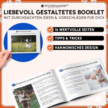 Schwarzer Metall-Tierkäfig mit Kunststoffboden auf grünem Gras im Freien.