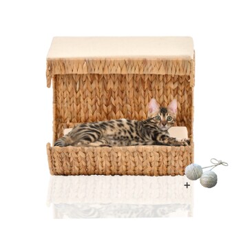 ® Katzen Liegemulde Cäsar für Wandmontage, Kletterwand-Element mit Gratis-Spielballset