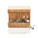 Ein geschecktes Bengal-Kätzchen liegt in einem geflochtenen Strohhäuschen, mit zwei Spielbällen in der Nähe.