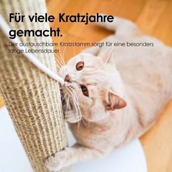 Cremefarbene Katze kratzt an einem Sisalpfosten; deutscher Text: 'Für viele Kratzjahre gemacht.'