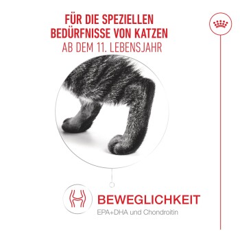 Nahaufnahme der Hinterbeine einer Katze mit deutschem Text über Mobilitätsunterstützung für Katzen ab 11 Jahren, mit EPA, DHA und Chondroitin.