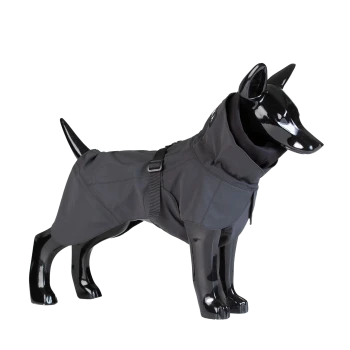 Ein schwarzer Schaufensterhund, der einen stilvollen grauen Regenmantel mit hohem Kragen und verstellbarem Riemen trägt.