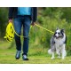 Eine Person, die einen glücklichen, flauschigen Border Collie an einer orangefarbenen Leine in einem grünen Park führt, trägt blaue Turnschuhe und Jeans.