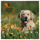 Ein Golden Retriever Welpe sitzt zwischen lebhaften orangefarbenen und weißen Blumen, mit einem grünen Hintergrund und dem Logo 'NATUR PUR' in der oberen linken Ecke.