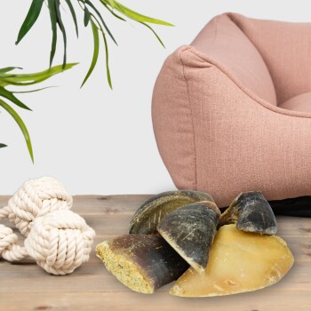 Haufen natürlicher Hufkauartikel auf einem Holztisch neben einem Baumwollseilspielzeug und einem rosa Haustierbett, darüber grüne Pflanzenblätter.