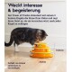 Eine verspielte getigerte Katze spielt mit einem bunten dreistufigen "Tower of Tracks" Spielzeug, perfekt um Katzen zu unterhalten.