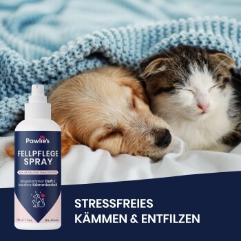 Ein Pudel wird auf einem Handtuch neben Pawlies Fur Care Spray gepflegt, beschriftet mit "100% natürliche Inhaltsstoffe" und "Stressfreies Kämmen."