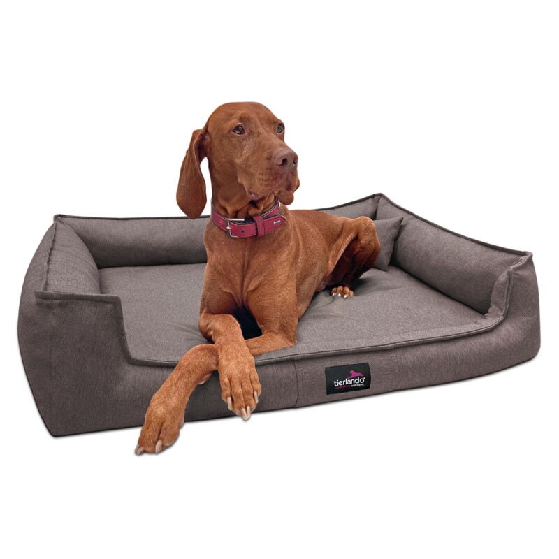 Tierlando ® Orthopädisches Hundebett GUSTAV SCANDI CHIC Große Hunde XL Hundesofa