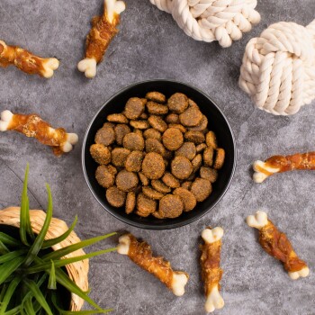 Eine schwarze Schüssel, gefüllt mit runden, braunen Haustierfutter-Kroketten, umgeben von Hundekau-Knochen und einem Seilspielzeug auf einer grauen Oberfläche.