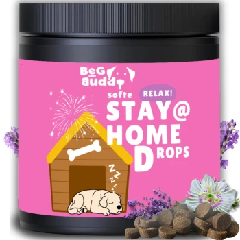 STAY@HOME Relax Snack für Hunde mit Baldrian, 350 g Behälter von 'BeG buddy Stay@Home Drops' für Haustiere, mit einem schlafenden Welpen, einem Hundehäuschen und floralen Akzenten auf einem rosa Hintergrund.