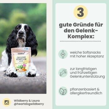 Schwarz-weißer Spaniel, der einen Beutel mit der Aufschrift 'noms+ GELENK KOMPLEX' hält; rechte Seite: '3 gute Gründe für den Gelenk-Komplex'.