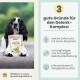 Schwarz-weißer Spaniel, der einen Beutel mit der Aufschrift 'noms+ GELENK KOMPLEX' hält; rechte Seite: '3 gute Gründe für den Gelenk-Komplex'.