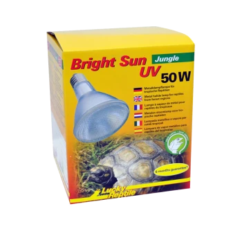 Box für die "Bright Sun UV 50W" Lampe für tropische Reptilien, mit einer Metallhalogenlampe und einer Schildkröte auf dem Gras.