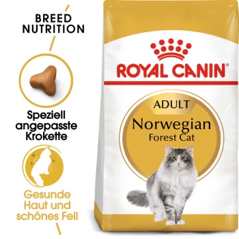 Royal Canin Adult Norwegian Forest Cat Trockenfutterbeutel mit einer grauen und weißen Katzenillustration, die die Ernährungsbedürfnisse der Rasse und die Gesundheit des Fells betont.