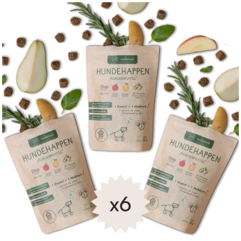 Drei Beutel "HundeHappen Morgenmuffel" Hundefutter, umgeben von Apfelscheiben, Birne, Kräutern und kleinen Kroketten. Der Text hebt vegane Zutaten hervor.