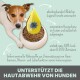 Ein Hund ruht neben einer Futterschüssel mit Öl und einer blauen Blume, hebt Hautschutz und Ernährung hervor: 69% Linolsäure, 30% Ölsäure.